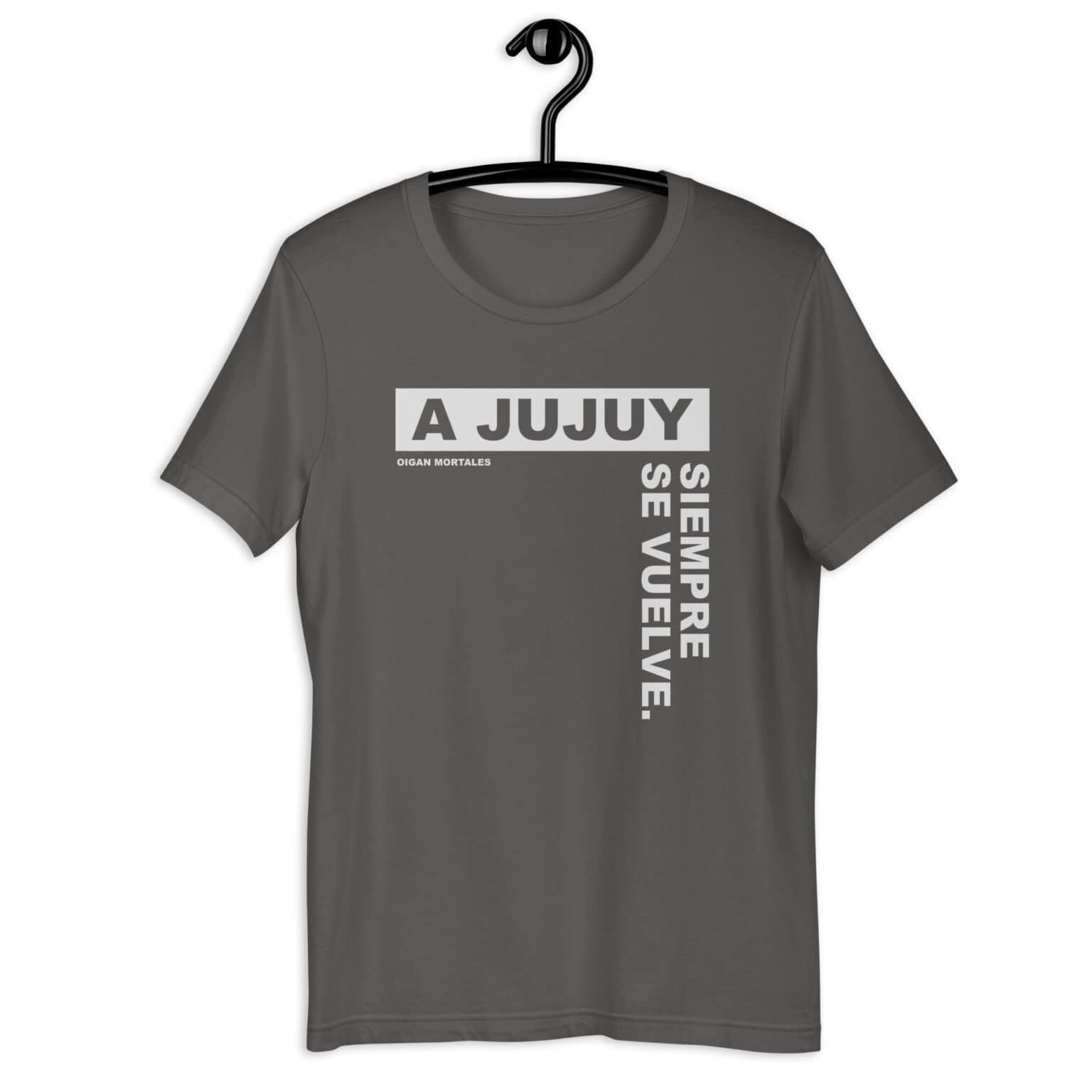 Remera unisex - A Jujuy siempre se vuelve - Imagen 2